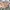 BESLOW Vintage Casual Casual pants Pria tan photo 1
