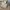 BESLOW Vintage Casual Casual pants Pria tan photo 5