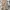 BESLOW Vintage Casual Casual pants Pria tan photo 4