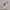 Nike Casual Sneakers Wanita multicolor white photo 3