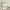 Nike Luxury Minimalist Pria white photo 1