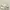 Nike Luxury Minimalist Pria white photo 2