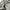 Zara Streetwear Casual Jeans Pria khaki photo 4