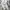 Casual Formal pants Pria cream photo 4