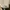 Adidas Streetwear Casual Sneakers Pria gold black photo 6