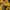 Adidas Streetwear Casual Sneakers Pria gold black photo 5