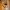 Adidas Streetwear Casual Sneakers Pria gold black photo 3
