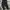 Parkland Casual Formal pants Pria black gray photo 4