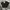 Parkland Casual Formal pants Pria black gray photo 1