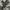 Pierre Cardin Casual Formal Pants Pria Gray
