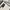 Pierre Cardin Casual Formal pants Pria gray photo 5