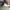 LMC Luxury Fleece Pria multicolor photo 6
