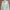 LMC Luxury Fleece Pria Multicolor
