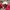 New Balance Luxury Fleece Pria red photo 2