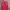 New Balance Luxury Fleece Pria Red