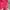 New Balance Luxury Fleece Pria red photo 4