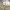 Casual Formal pants Pria cream photo 3