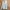 Luxury Fleece Pria gray photo 1
