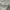 Japanese brand Minimalist Casual Fleece Pria white gray photo 4