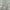 Japanese brand Minimalist Casual Fleece Pria white gray photo 2