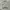 Japanese brand Minimalist Casual Fleece Pria white gray photo 1