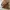 Japanese brand Vintage Fleece Pria cream tan photo 5