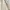Japanese brand Vintage Polo shirt Pria cream photo 3