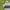 Calvin Klein Streetwear Minimalist T-shirt Pria white gray photo 4