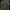 Stone Island Skater Sweatshirt Pria green khaki photo 1