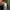 Stone Island Skater Sweatshirt Pria green khaki photo 4