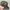 Realtree Y2K Skater Hat Pria brown gray photo 4
