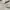 Jacquemus Luxury Casual Casual shirt Pria white black photo 7
