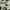 Jacquemus Luxury Casual Casual shirt Pria white black photo 6