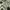 Jacquemus Luxury Casual Casual shirt Pria white black photo 4