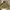 Fieldcore Streetwear Gorpcore Parka Pria green photo 1
