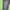 Japanese brand Casual Flare pants Wanita navy photo 2