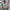 Japanese brand Y2K Luxury Hoody Pria gray photo 2