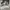Japanese brand Y2K Grunge Hoody Pria gray photo 1
