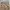 Buzz Ricksons Luxury Casual Casual pants Pria tan photo 7