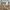 Buzz Ricksons Luxury Casual Casual pants Pria tan photo 2