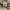 Buzz Ricksons Luxury Casual Casual pants Pria tan photo 5