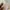 Hysteric Glamour Streetwear Luxury Kids white tan photo 5