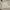 Hysteric Glamour Streetwear Luxury Kids white tan photo 1