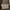 Michael Kors Casual Bags & Purse Wanita Gold