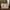 Michael Kors Casual Bags & purse Wanita gold photo 6