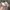Disney Casual Hat Pria cream photo 4