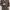 Polo Ralph Lauren Casual Cardigan Pria brown black photo 2