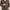 Polo Ralph Lauren Casual Cardigan Pria Brown Black