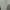 H&M Minimalist Casual Bodycon dress Wanita white cream photo 6