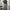 Vintage Y2K Jeans Pria gray photo 1